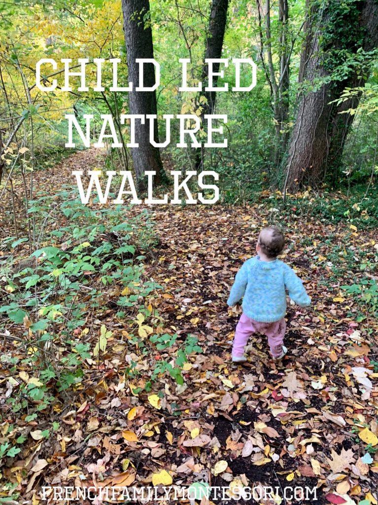 CHILD LED NATURE WALKS – French Family Montessori